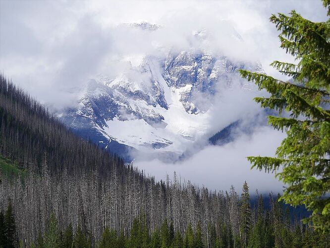 L'Ouest canadien à pleins poumons: épisode 1, les Rocheuses et la chaîne Alberta - fabienne65