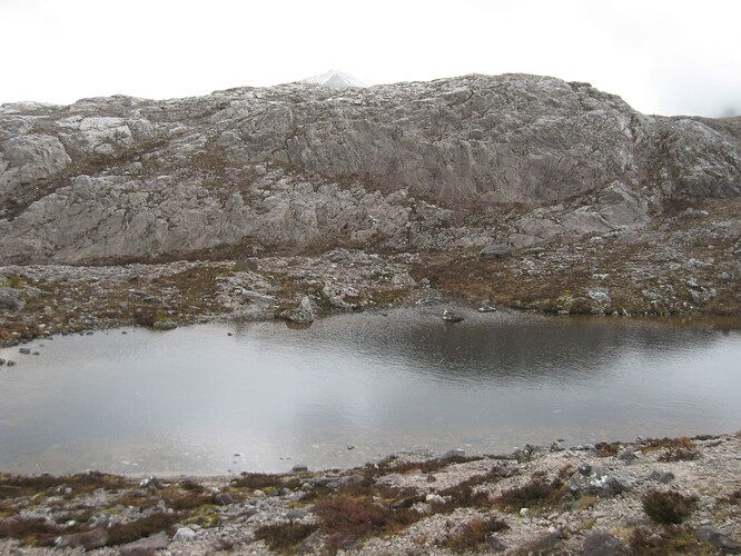 Ecosse (280)