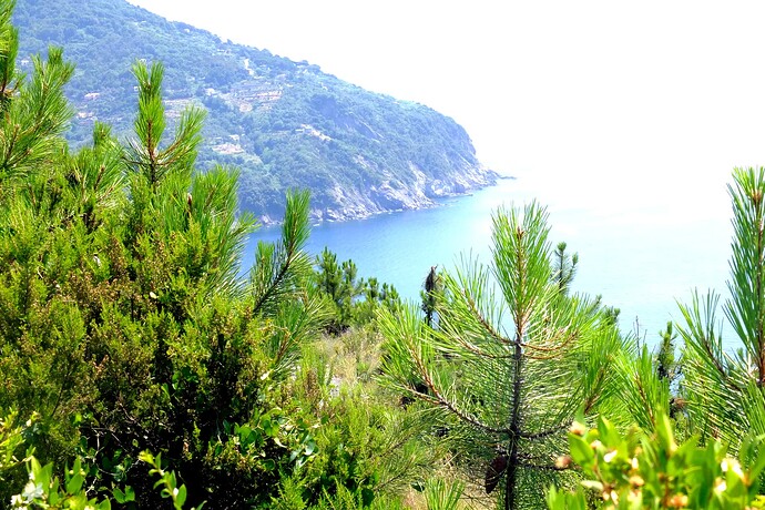 ITA13_002530.jpg