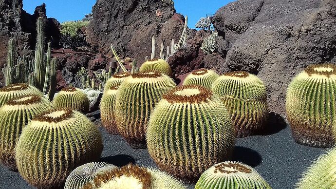 Récit d'une semaine à Lanzarote fin janvier (avec photos) - francis31