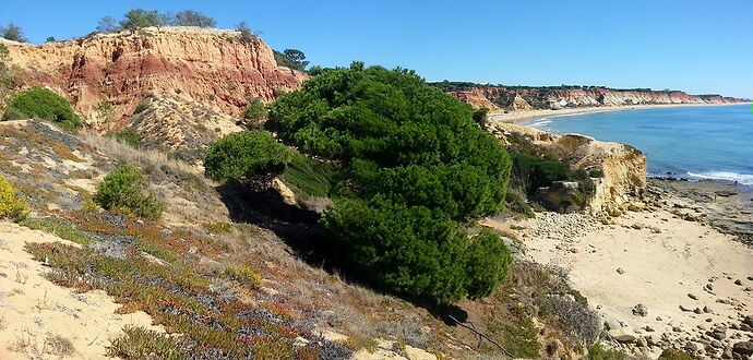 De retour d'une semaine en Algarve en octobre (photos) - francis31