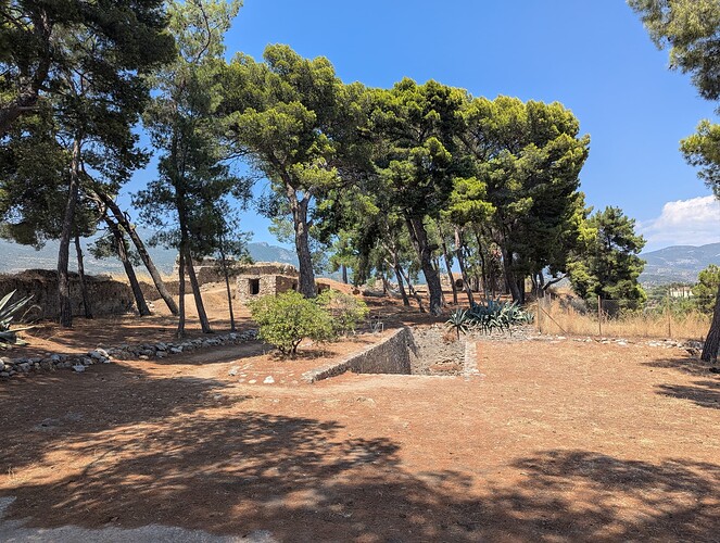 PXL_20250718_120736716_1