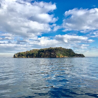 Île de Sarushima