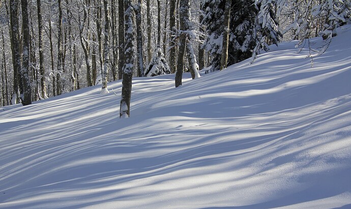 Lignes verticales et lignes horizontales