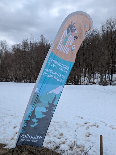 PXL_20250212_130153563_1