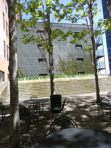 CIMG4170 525 east 72nd st.