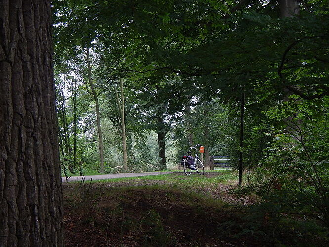 Cyclotourisme au Pays-Bas en famille, du 14 août au 22 août 2018. - claire91