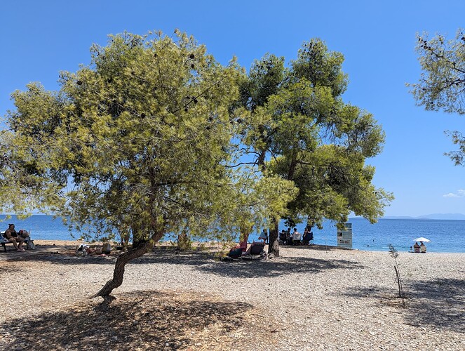 PXL_20250730_111131284_1
