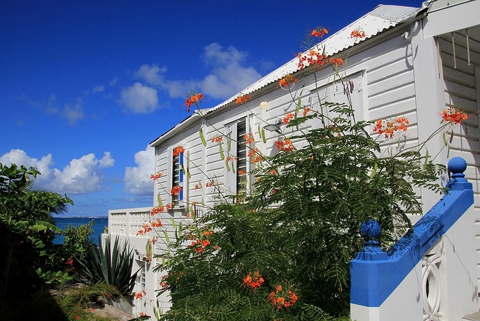 Case maison