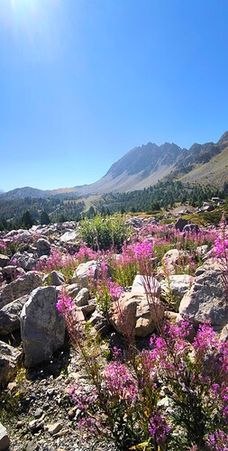 IMG_20250816_200940