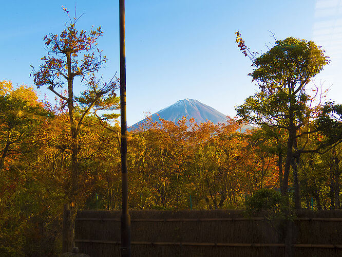 recapitulatif de 30 jours au japon en octobre - sostressed