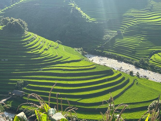 mucangchai