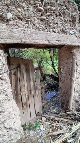IMG-20260318-WA0008