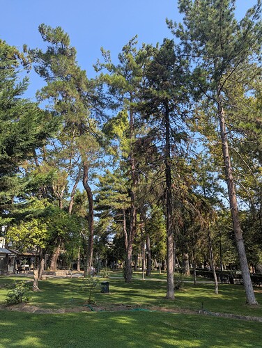 PXL_20250808_072424625_1