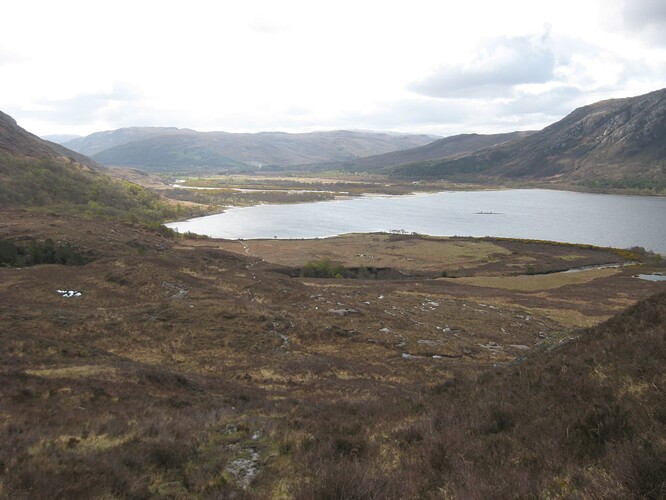 Ecosse (312)