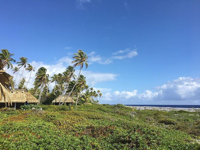 DE RETOUR D'UN MOIS EN POLYNESIE - tontonvin