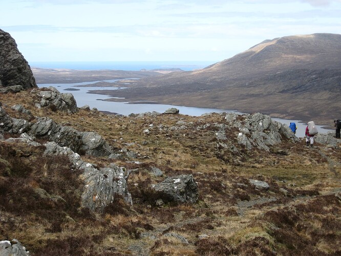 Ecosse (342)