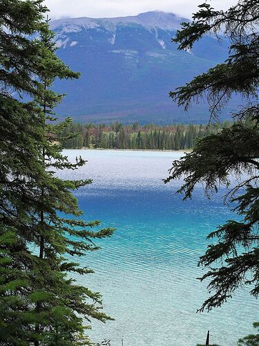 L'Ouest canadien à pleins poumons: épisode 1, les Rocheuses et la chaîne Alberta - fabienne65