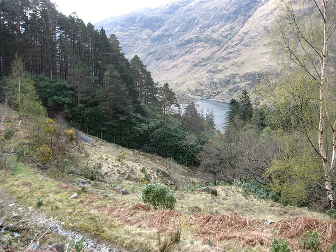 Ecosse (160)