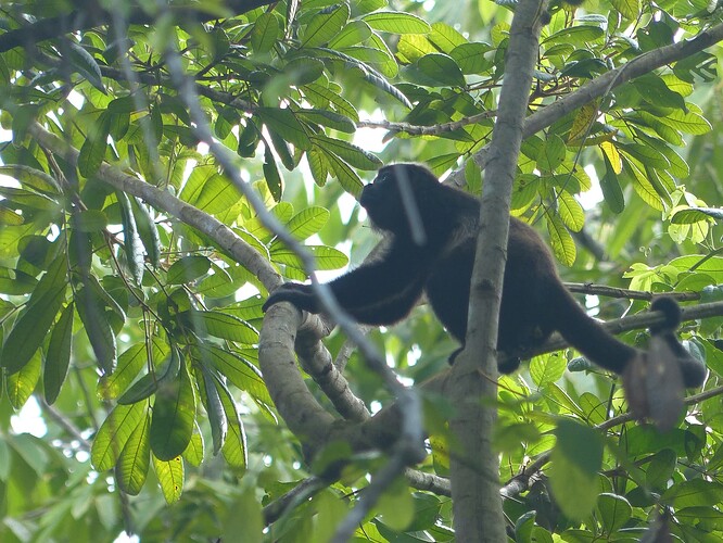 P1450750