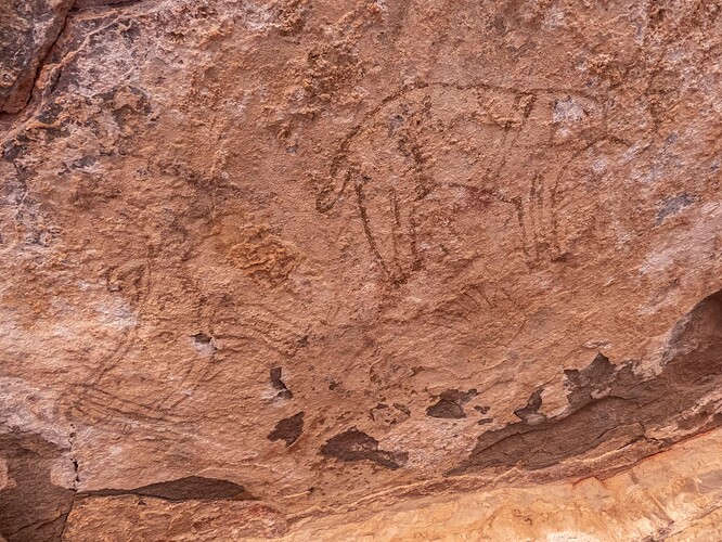 Peintures rupestres : hommes qui chassent et bovins