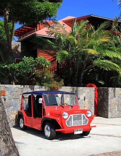 Voiturette Moke