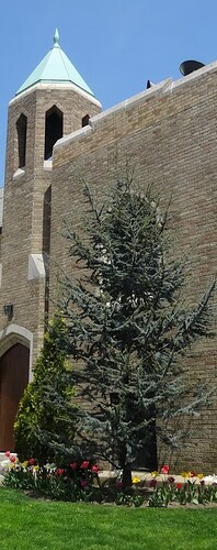 DSC0600