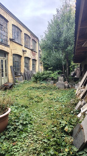 IMG_20250921_122634205_HDR