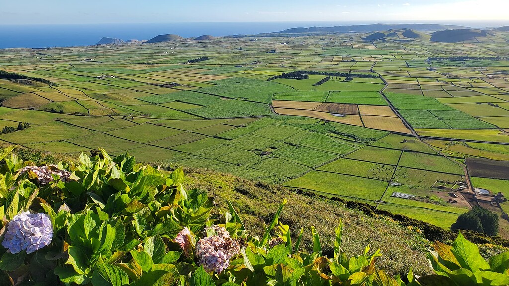 Açores