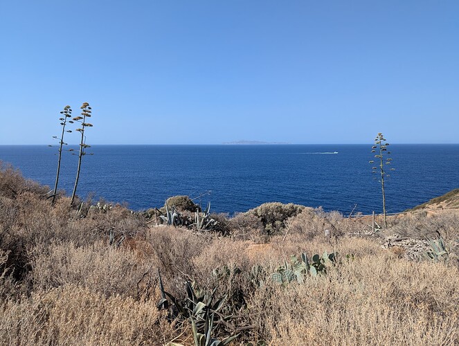 PXL_20250728_072248322_1