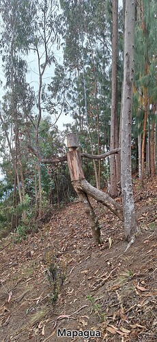20260305_164340(1)