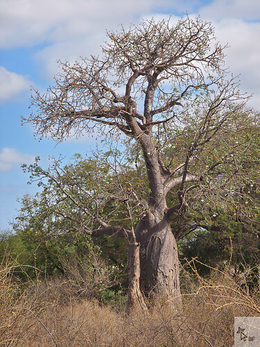 Routard20251015_085156-