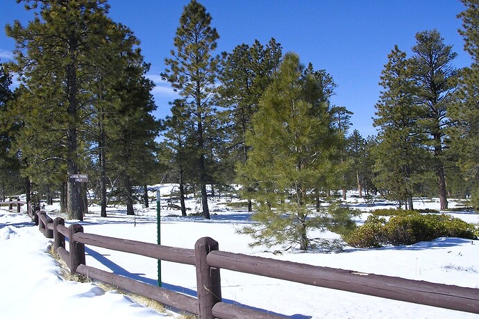 200603261919DSCN2476