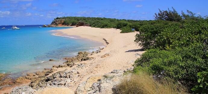 Tintamarre, l'île