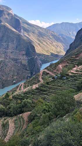 IMG-20251126-WA0011