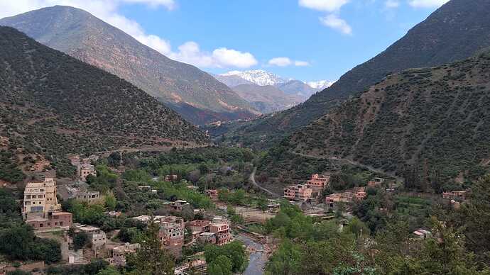 IMG-20250324-WA0013(1)