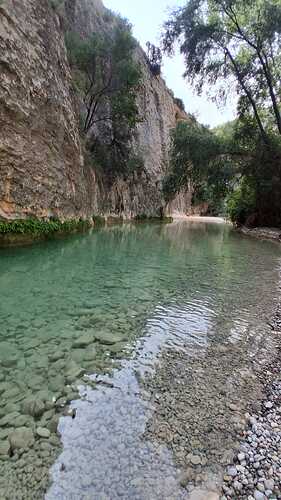 IMG-20250615-WA0050