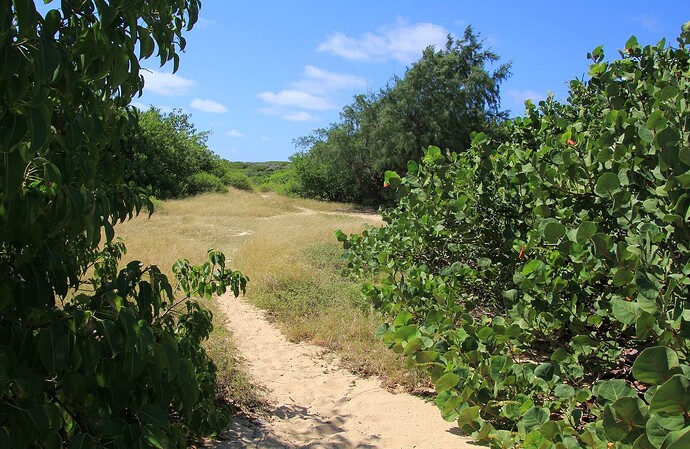 Tintamarre Sentier vers l'intérieur