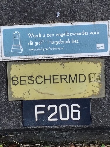 IMG_20250512_142026012_HDR