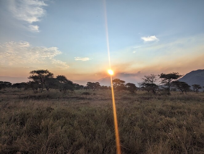 6- 6ème jour matinée au Ndutu, après midi et nuit au Serengeti (162)