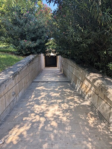 PXL_20250806_074438675_1