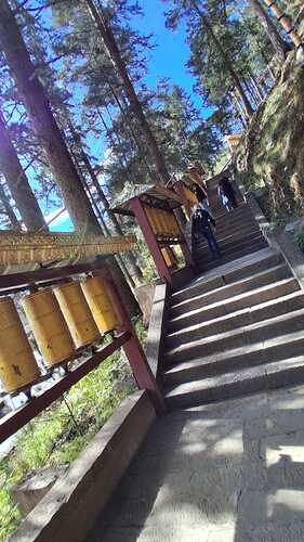 IMG-20251102-WA0031(1)