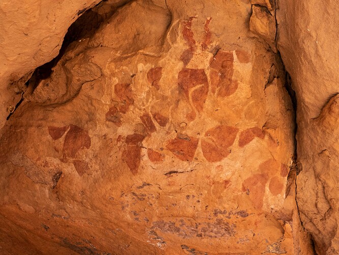 Peintures rupestres : vaches et antilopes bicolores