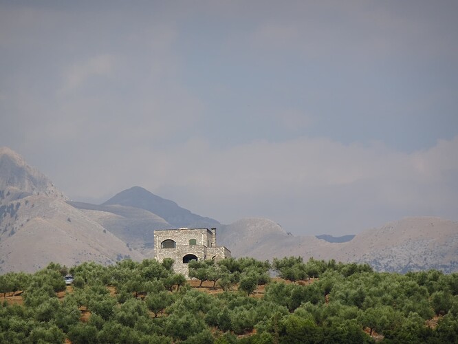 DSC03419_1