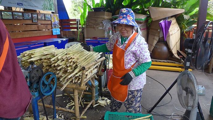 15 jours au Nord-Laos en nov 2015 - bernardlam