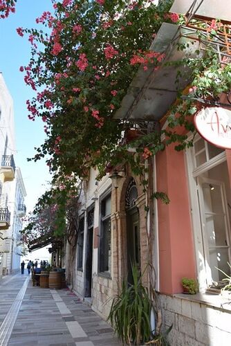 Athènes et ses environs (en bustrip) - amandine.rousseau.33