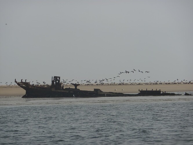 P1150039