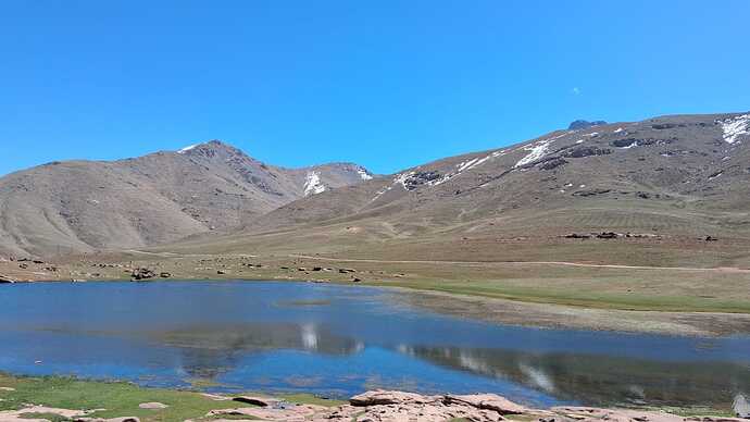 IMG-20250324-WA0008