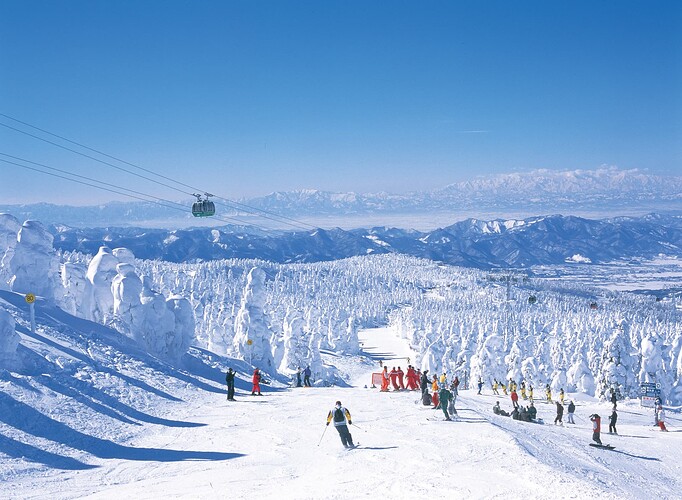 3_スキー写真2_蔵王の樹氷