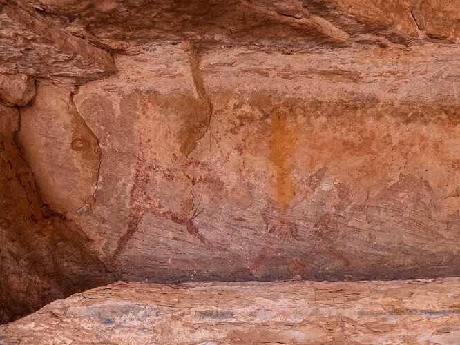 Peintures rupestres : hommes qui chassent et bovins